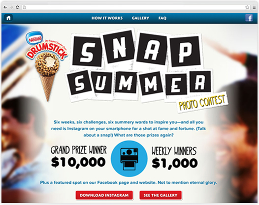 Drumstick Snap Summer Photo Contest